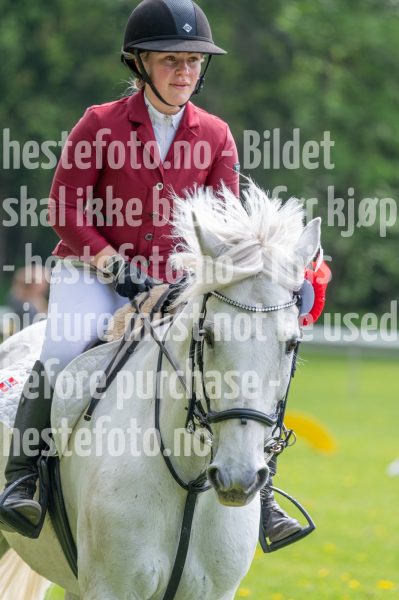 20250511-133725-z6-DSC_0488