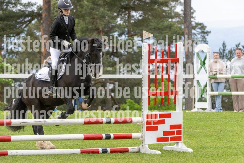 20250511-110421-292-DSC_6495