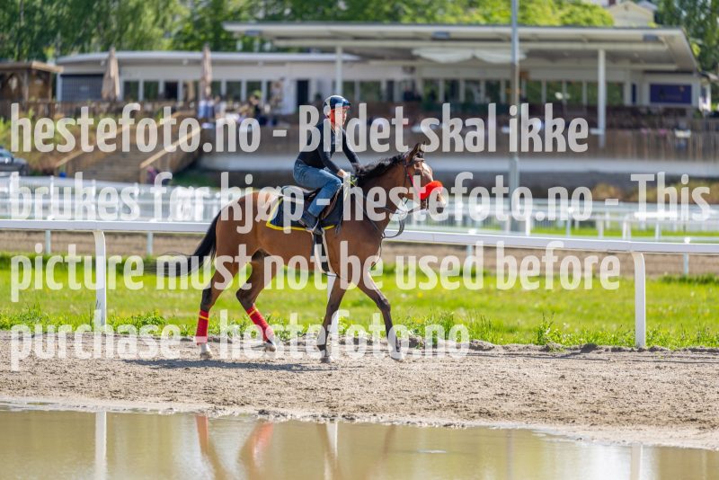 20220604-123634-DSC9155