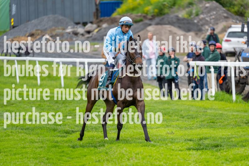 20220609-190250-DSC9584