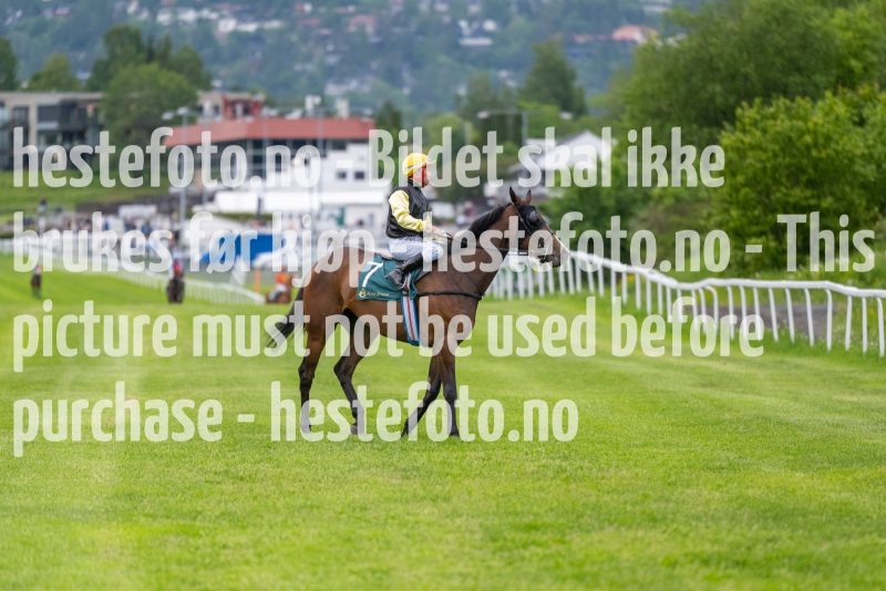 20220609-192822-DSC9769