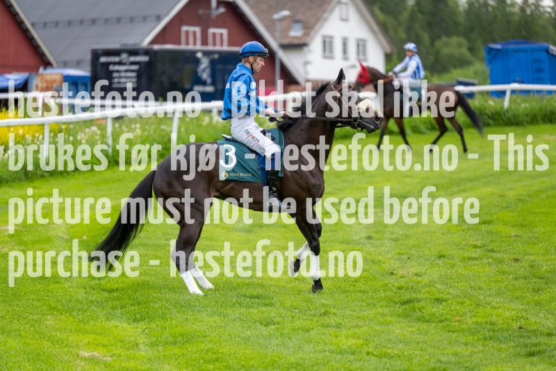 20220609-192857-DSC9797