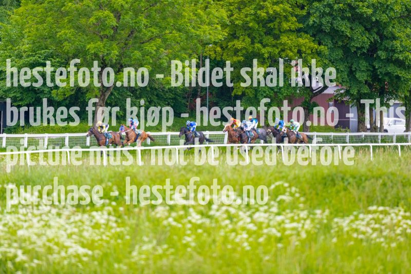 20220609-193456-DSC9836
