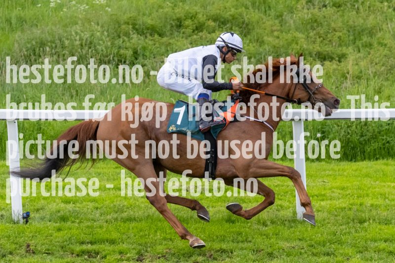 20220609-195850-DSC9911
