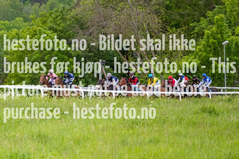 20220609-202606-DSC9931