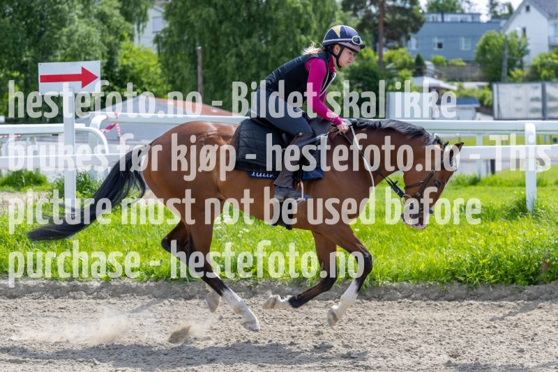 20220619-122949-DSC0405