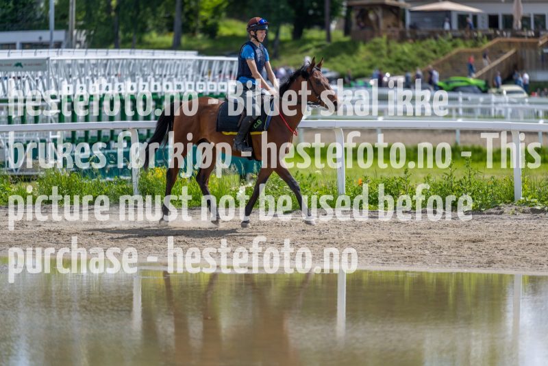 20220619-123414-DSC0494