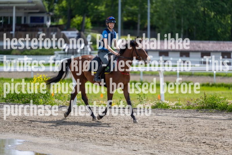 20220619-123417-DSC0498