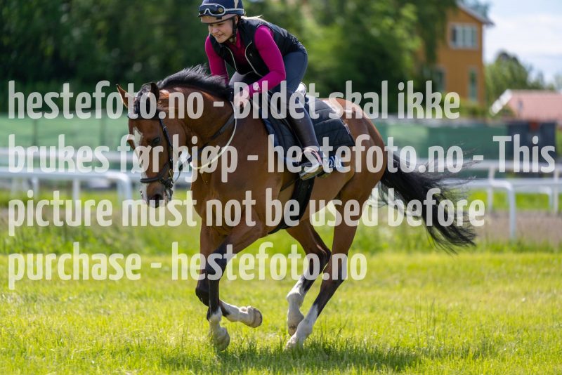 20220619-124122-DSC0643