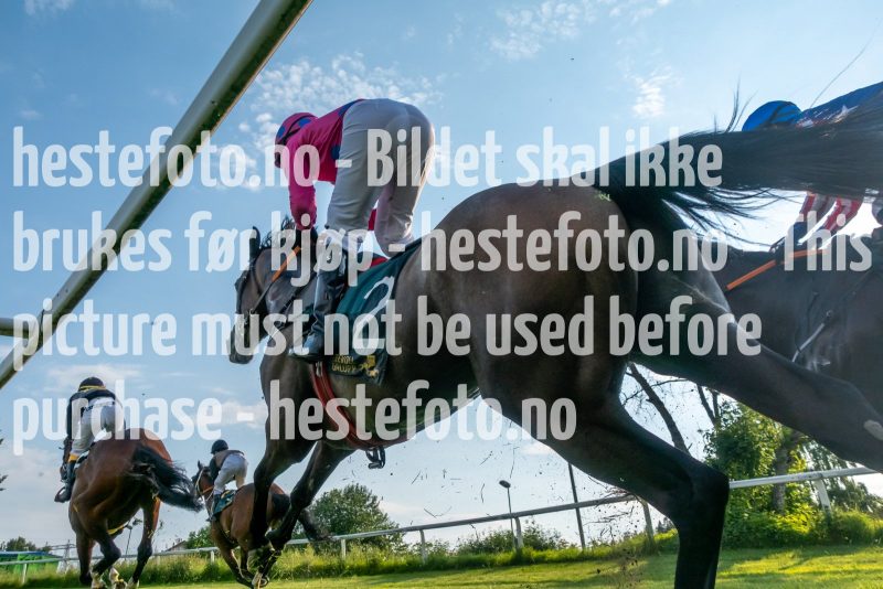 20220625-190127-DSC09459