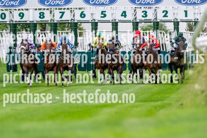 20220714-184134-DSC1826