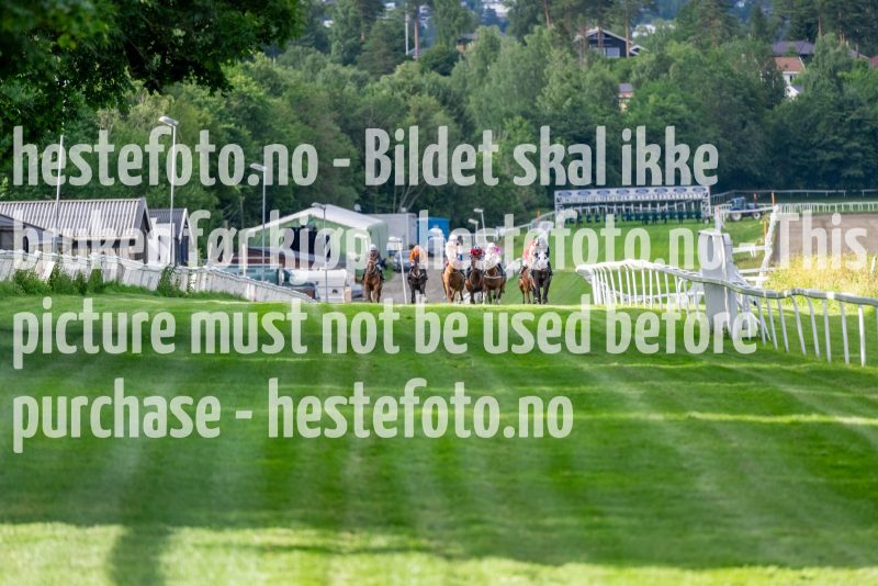 20220714-193343-DSC1896