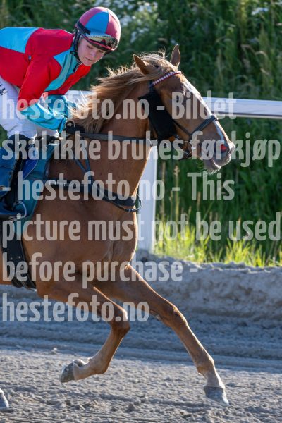 20250627-201936-DSC_8405