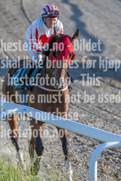 20250627-201946-DSC_8474