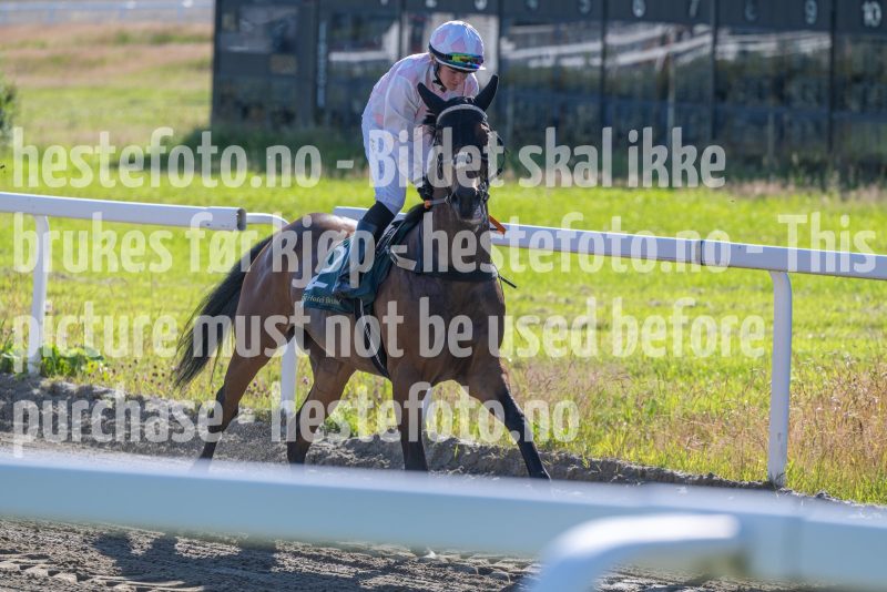 20250710-174727-DSC_0005