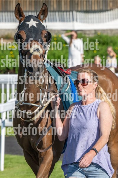 20250710-180414-DSC_0533