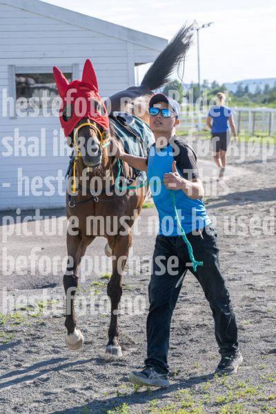 20250710-182636-DSC_1300