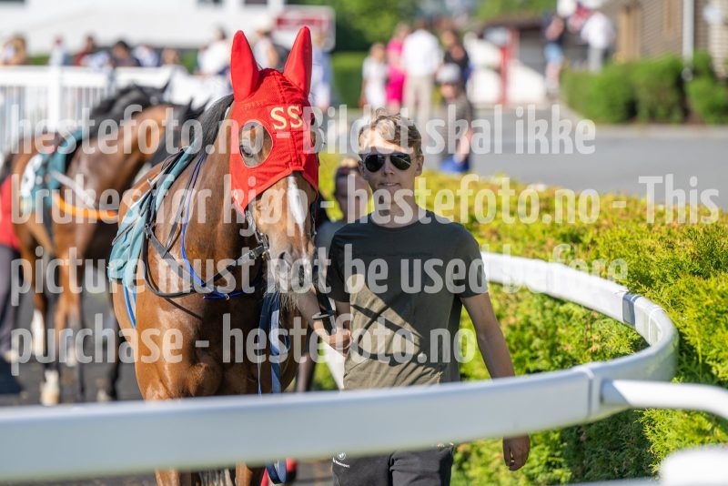 20250710-183117-DSC_1535