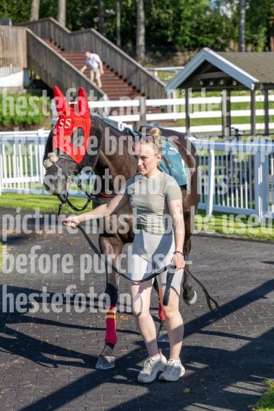 20250710-183233-DSC_1648