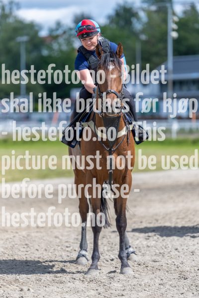 20220716-135742-DSC2588