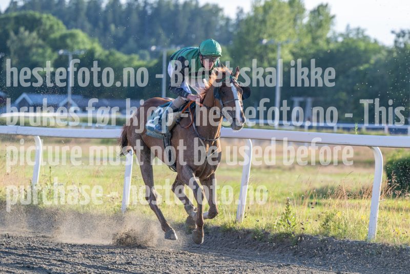 20250710-195832-DSC_4505