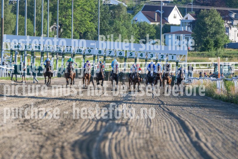 20250710-202334-DSC_5036