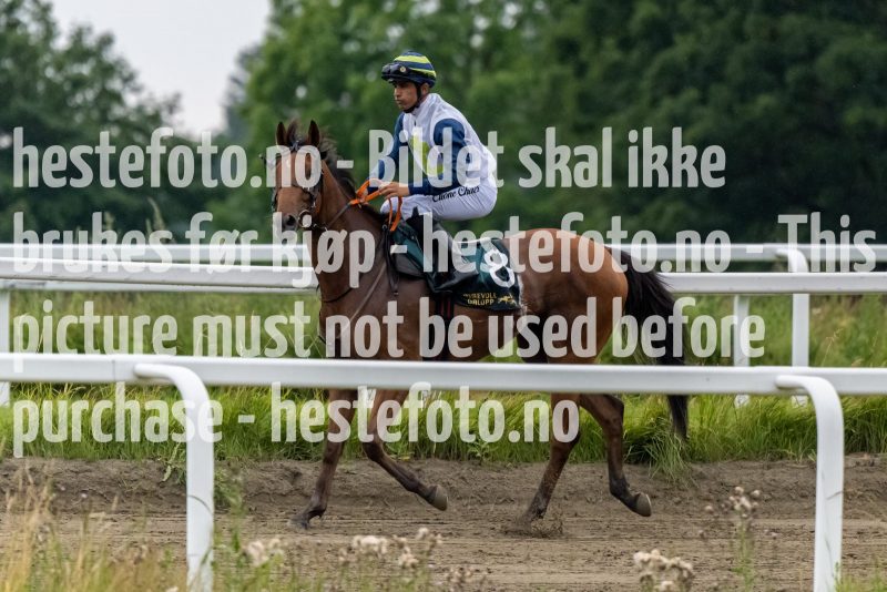 20220721-192413-DSC2820