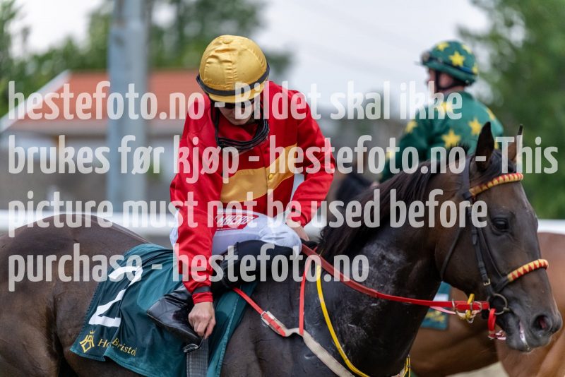 20220721-201646-DSC3090