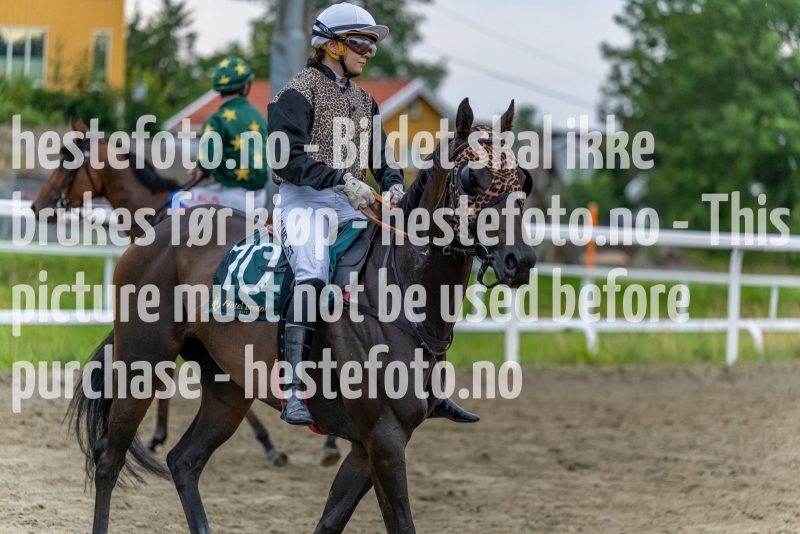 20220721-201648-DSC3092