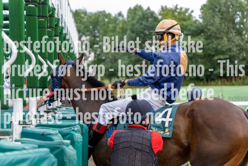 20220721-201905-DSC3149