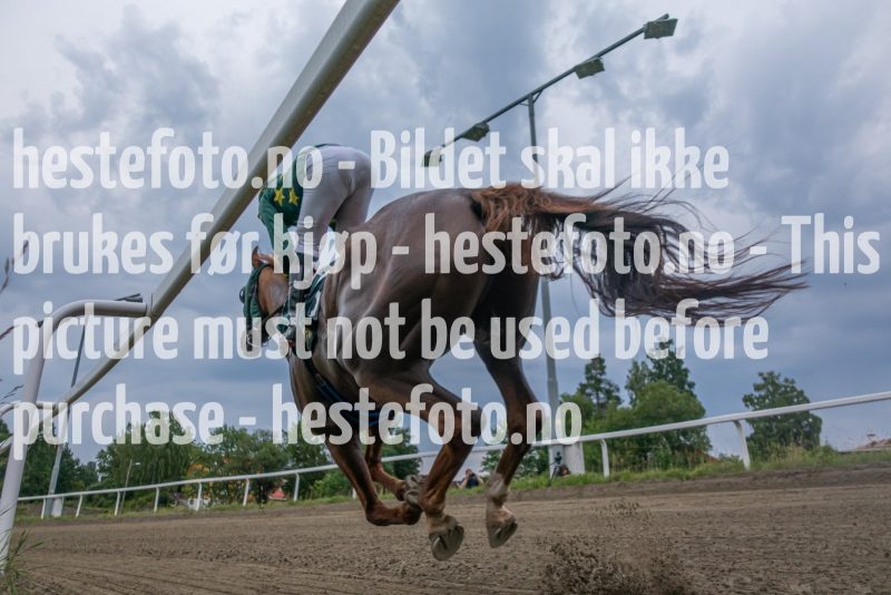 20220721-195341-DSC02835