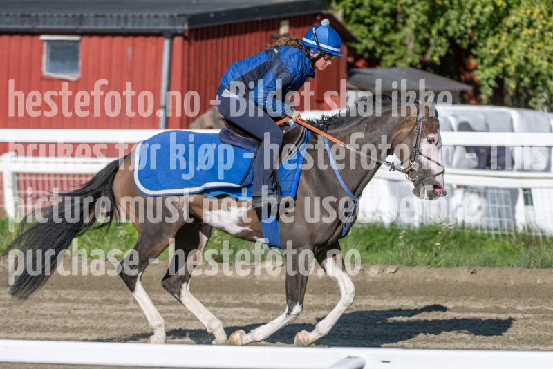 20250823-091939-DSC_1441