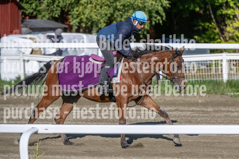 20250823-092044-DSC_1500