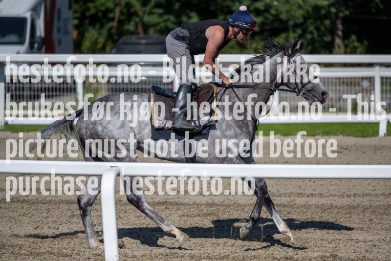 20220730-104253-DSC4097