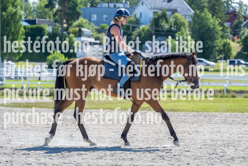 20220730-115307-DSC4322
