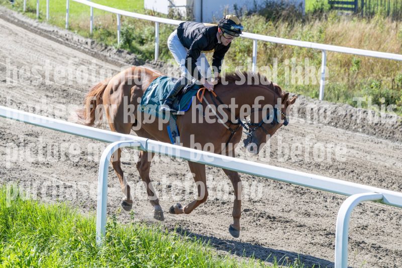 20250917-133825-DSC_3760