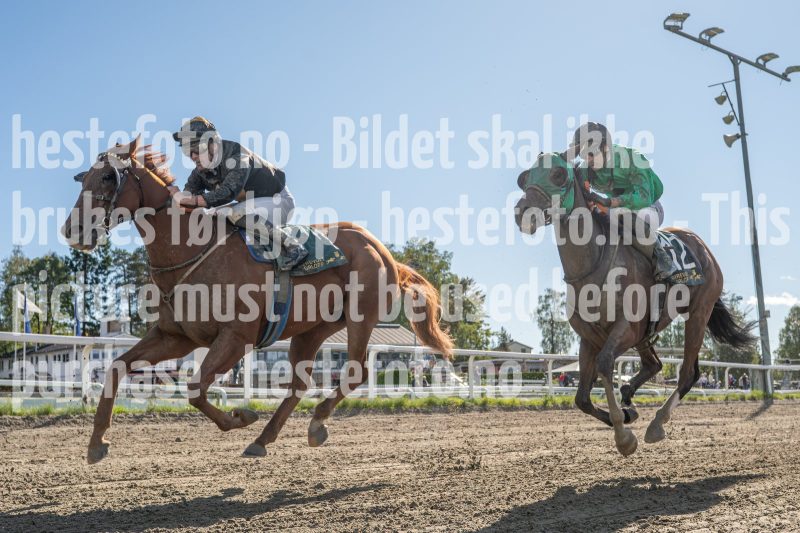 20250917-134821-DSC_6837