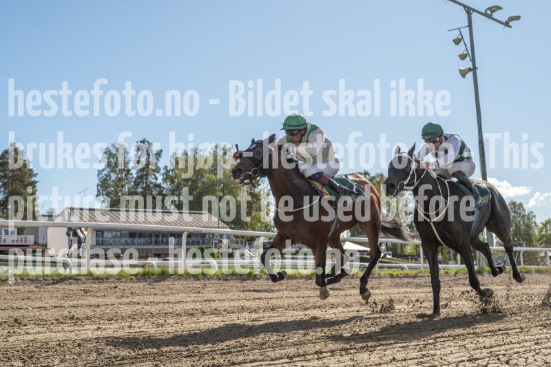 20250917-140811-DSC_6919