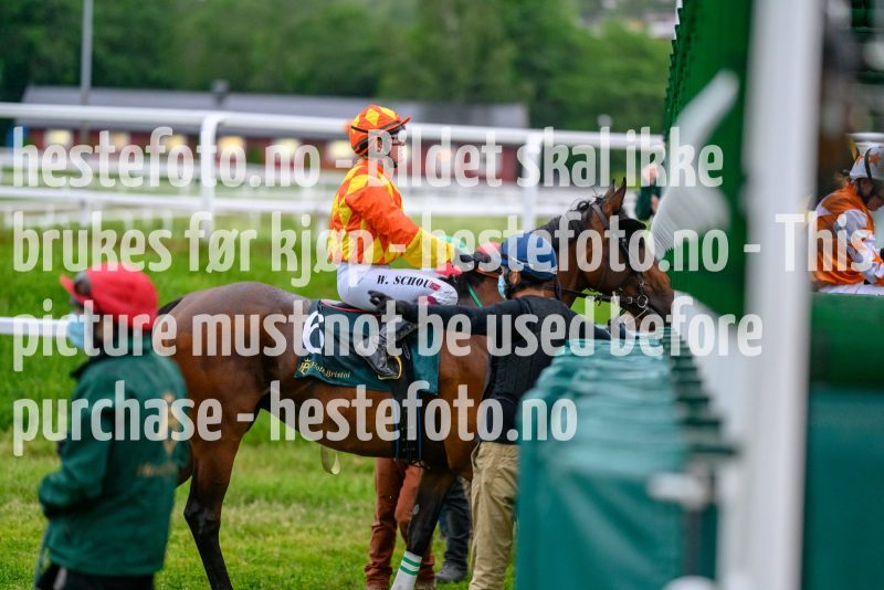 20210617-204552-DSC9362