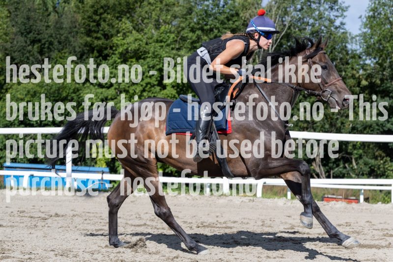 20220806-094834-DSC5027