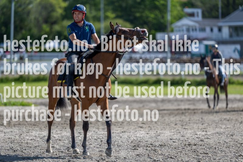 20220806-105114-DSC5222
