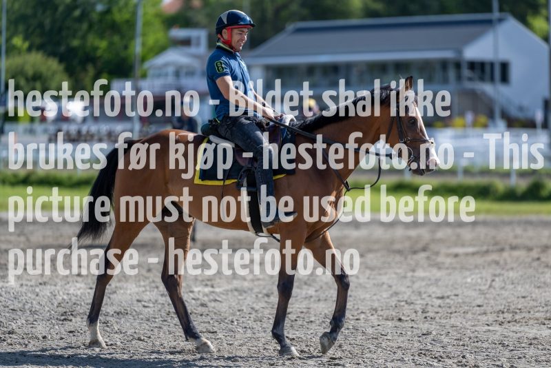 20220806-105116-DSC5225