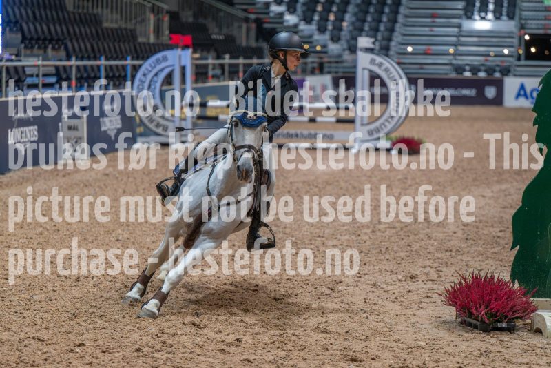 20251010-091822-DSC_4102