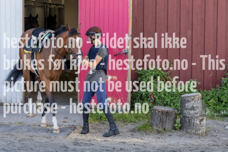 20220806-123243-DSC5473