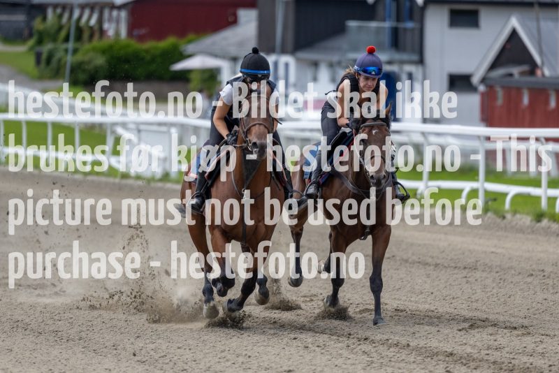 20220806-124816-DSC5575
