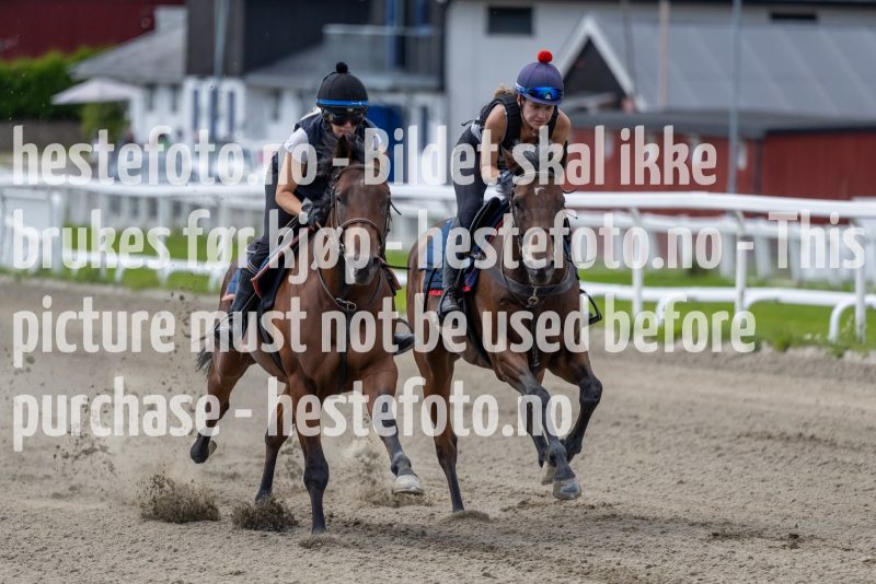 20220806-124816-DSC5577