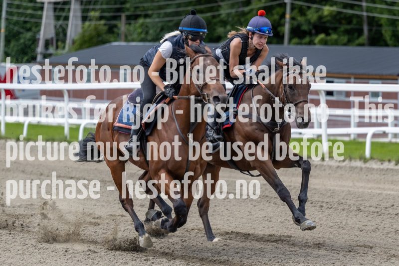 20220806-124818-DSC5589