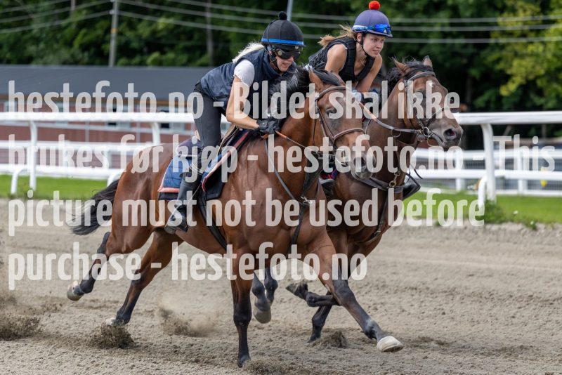 20220806-124818-DSC5591