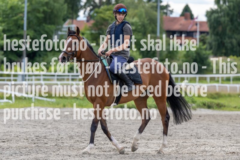 20220806-125205-DSC5602