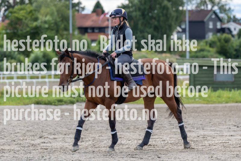 20220806-125208-DSC5606